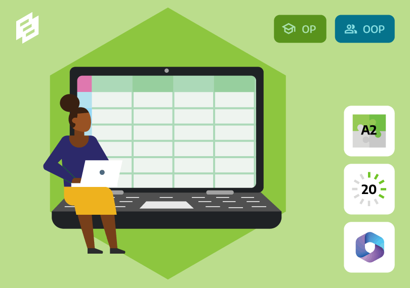 Microsoft 365: Spreadsheets maken met Excel 2024
