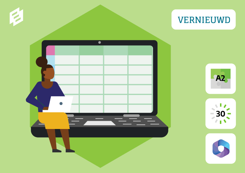 Microsoft 365: Spreadsheets maken met Excel 2024
