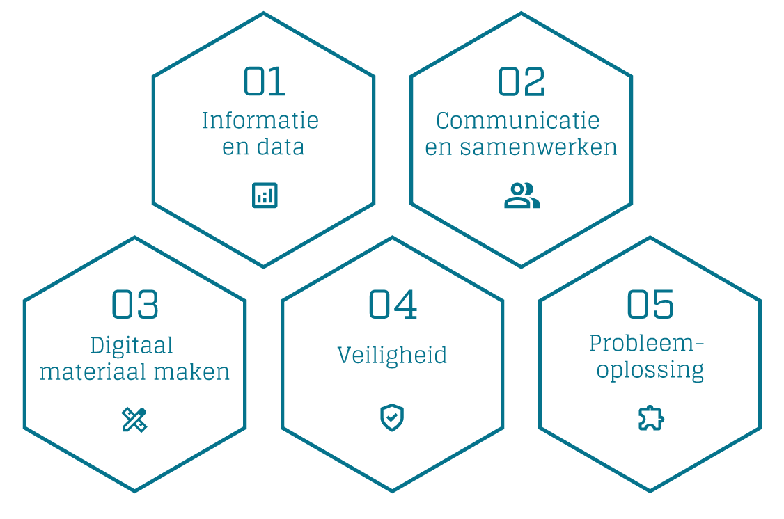 5 ddomeinen van DigComp